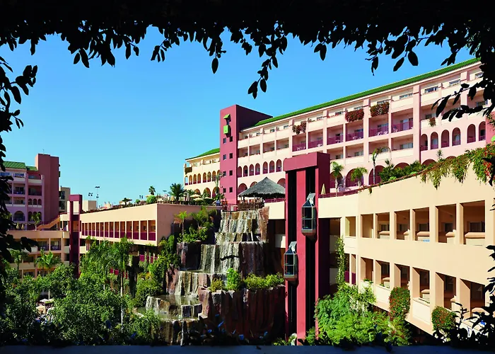 Jacaranda